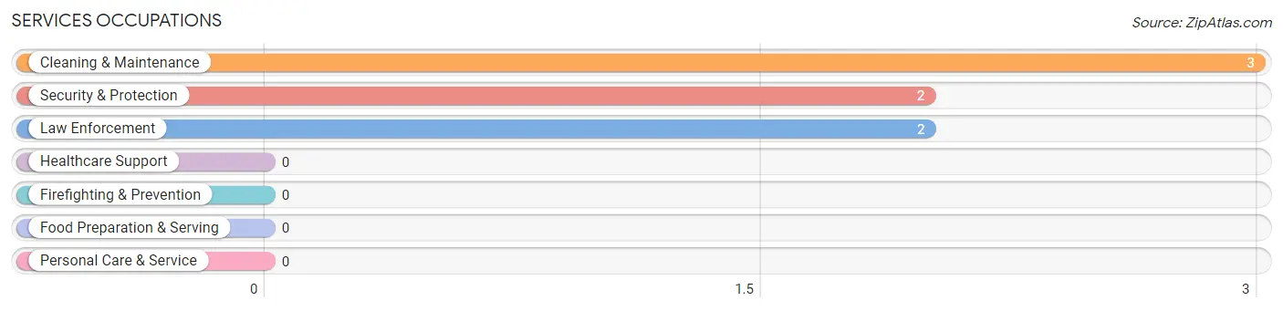 Services Occupations in Surrency