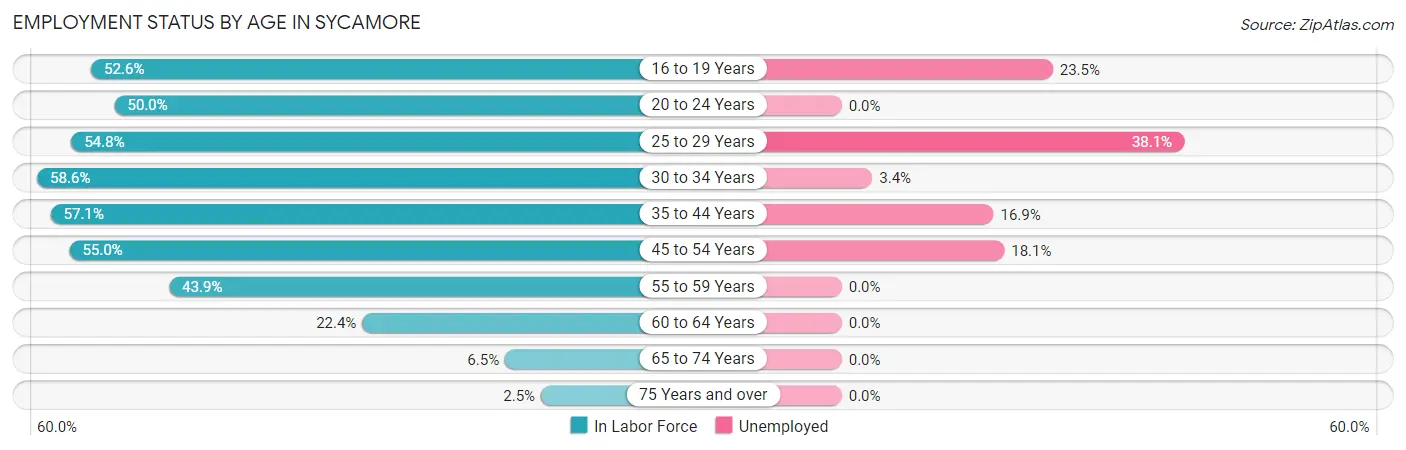 Employment Status by Age in Sycamore