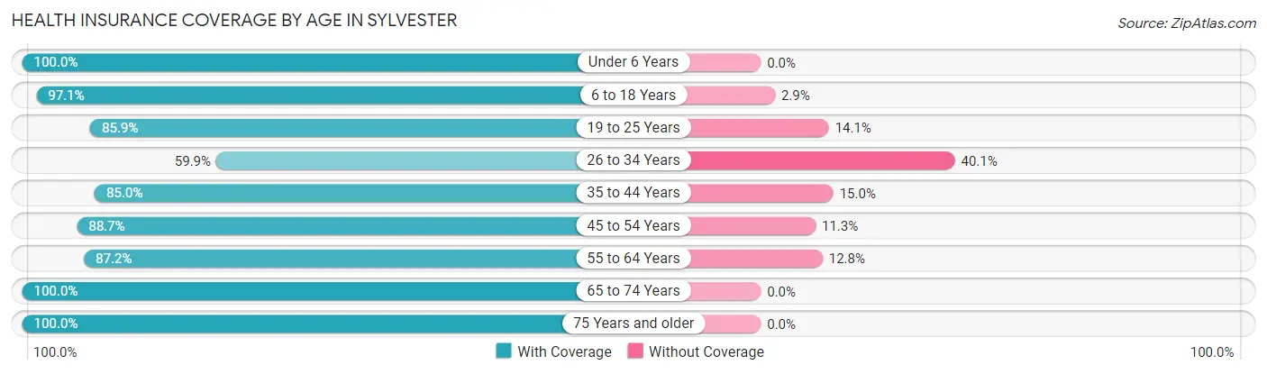 Health Insurance Coverage by Age in Sylvester