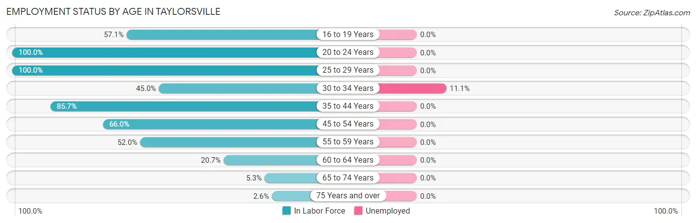 Employment Status by Age in Taylorsville