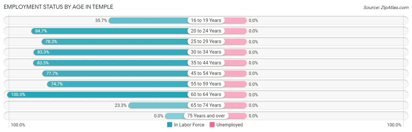 Employment Status by Age in Temple