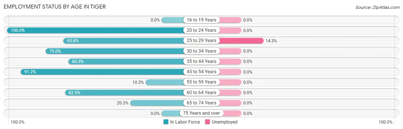 Employment Status by Age in Tiger