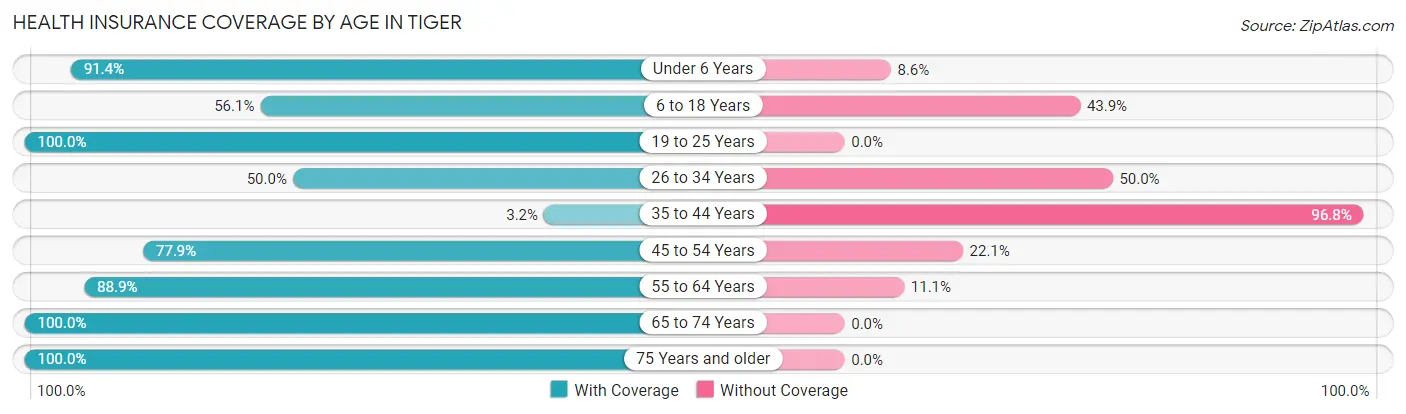 Health Insurance Coverage by Age in Tiger