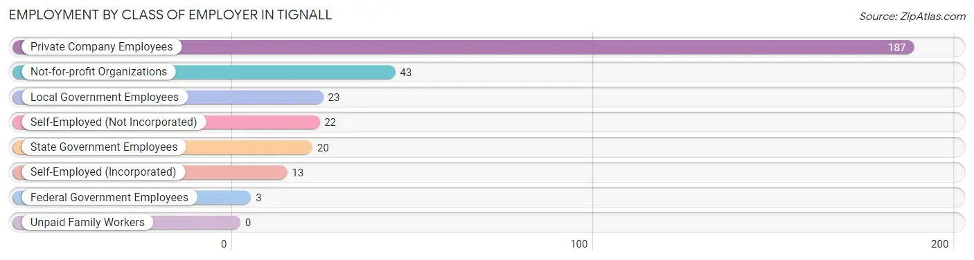 Employment by Class of Employer in Tignall