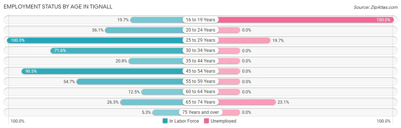 Employment Status by Age in Tignall
