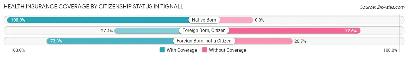 Health Insurance Coverage by Citizenship Status in Tignall