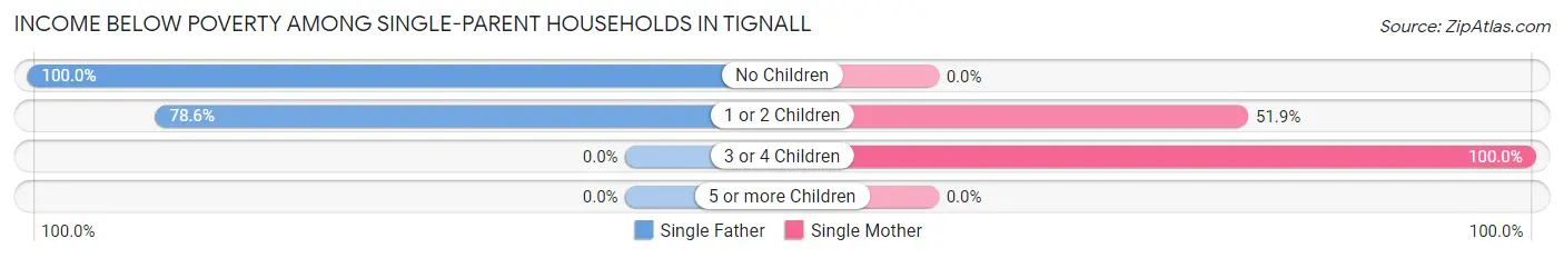 Income Below Poverty Among Single-Parent Households in Tignall