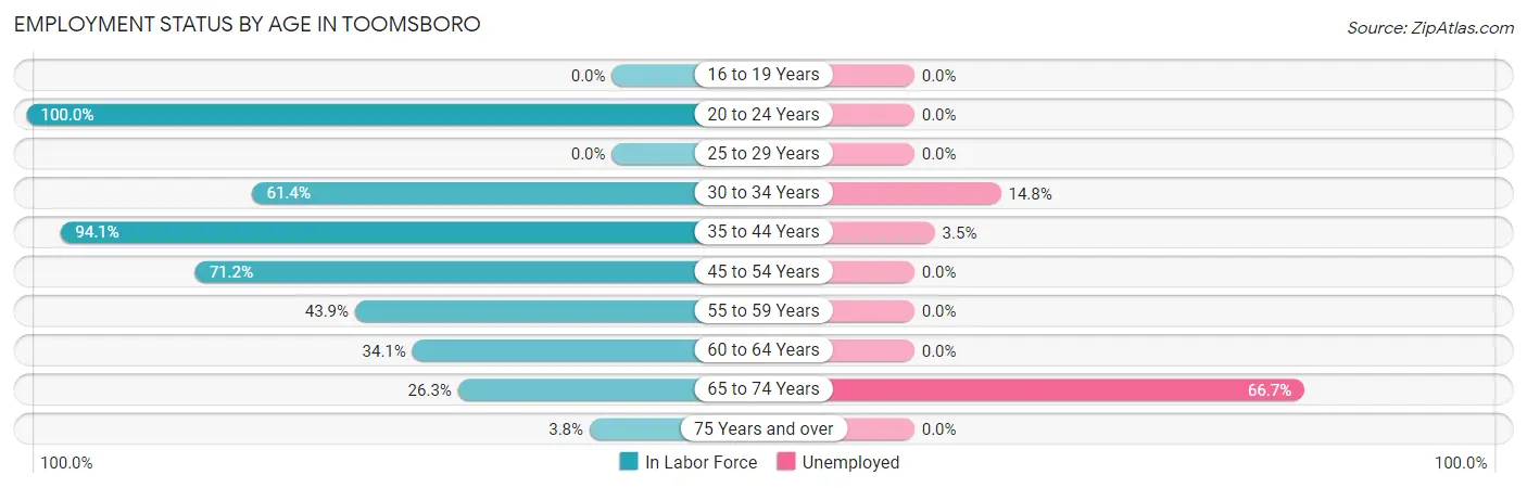 Employment Status by Age in Toomsboro