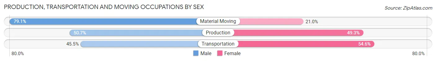 Production, Transportation and Moving Occupations by Sex in Trion
