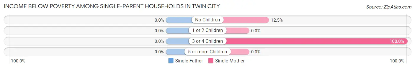 Income Below Poverty Among Single-Parent Households in Twin City