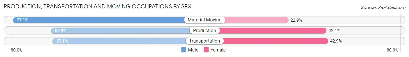 Production, Transportation and Moving Occupations by Sex in TY TY