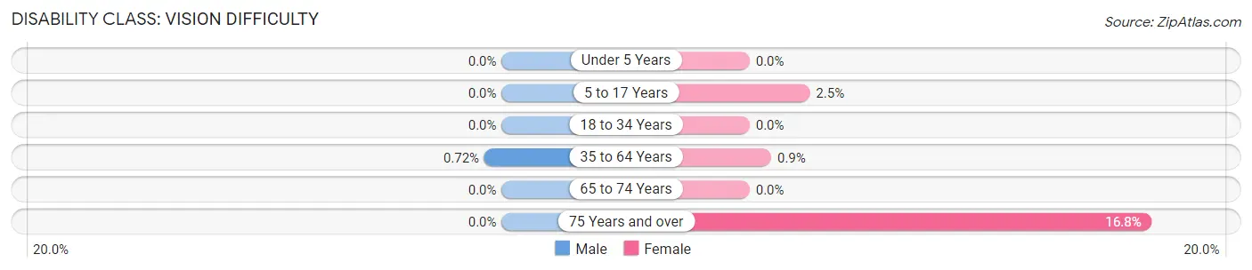 Disability in Tyrone: <span>Vision Difficulty</span>