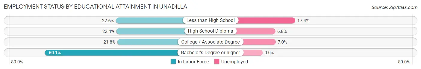 Employment Status by Educational Attainment in Unadilla