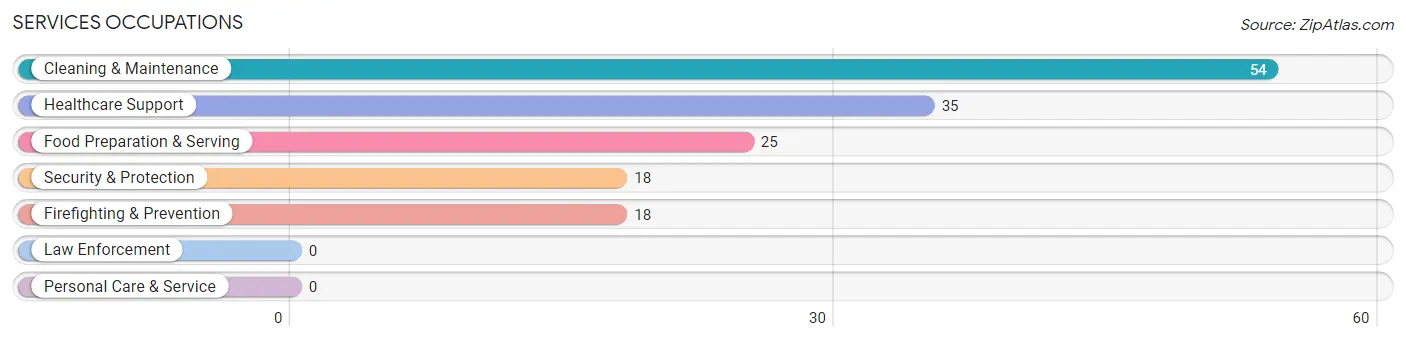 Services Occupations in Unadilla