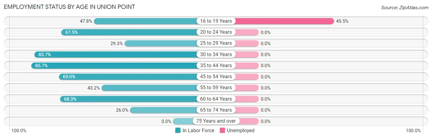 Employment Status by Age in Union Point