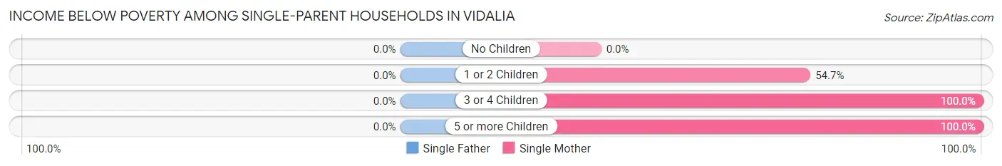 Income Below Poverty Among Single-Parent Households in Vidalia