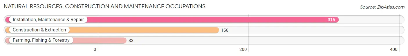 Natural Resources, Construction and Maintenance Occupations in Villa Rica