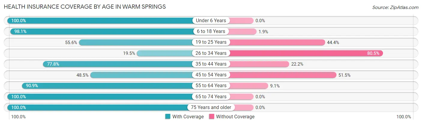 Health Insurance Coverage by Age in Warm Springs