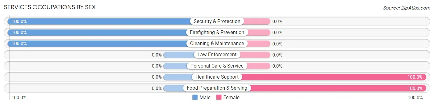 Services Occupations by Sex in Warm Springs