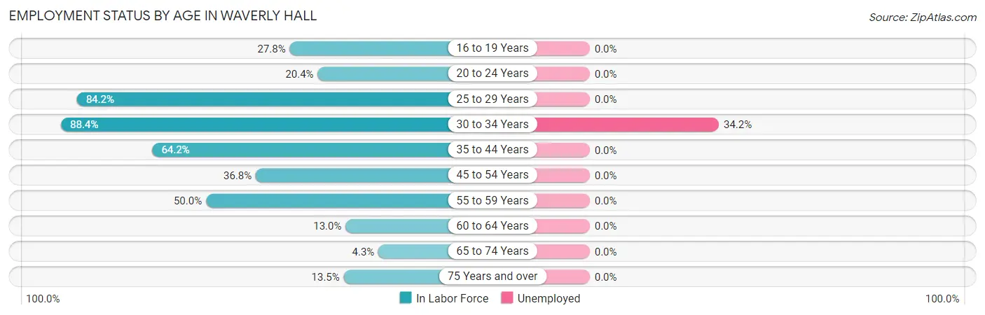 Employment Status by Age in Waverly Hall