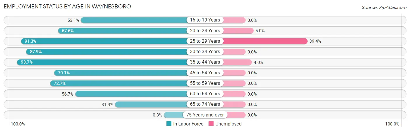 Employment Status by Age in Waynesboro