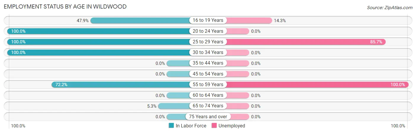 Employment Status by Age in Wildwood
