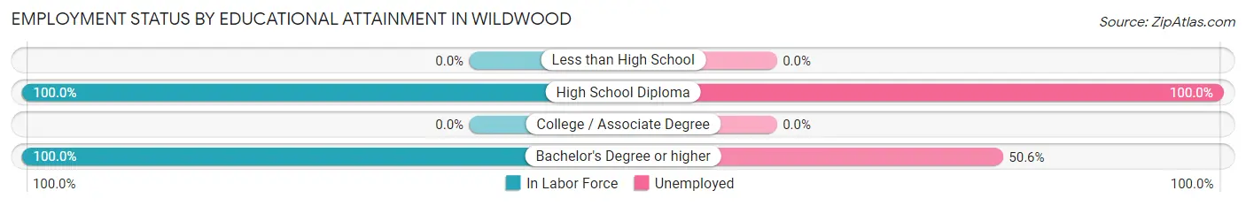 Employment Status by Educational Attainment in Wildwood