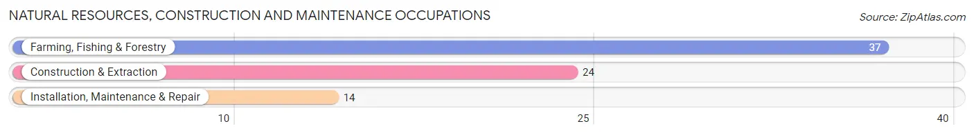 Natural Resources, Construction and Maintenance Occupations in Willacoochee