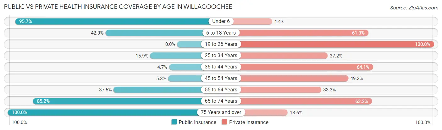 Public vs Private Health Insurance Coverage by Age in Willacoochee