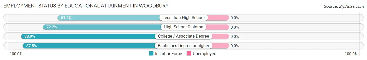 Employment Status by Educational Attainment in Woodbury
