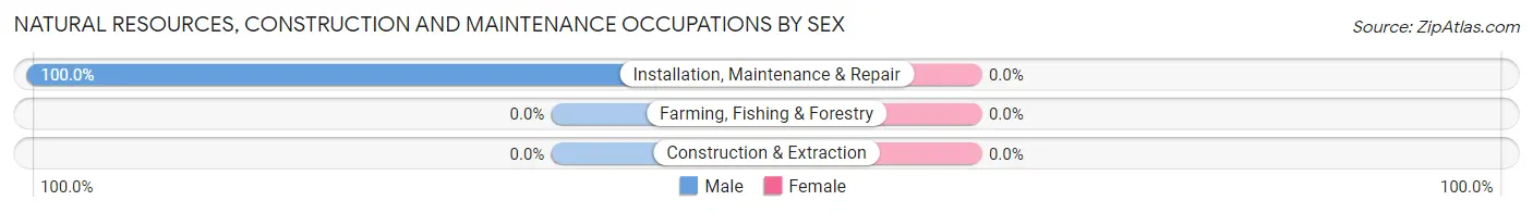 Natural Resources, Construction and Maintenance Occupations by Sex in Woodland