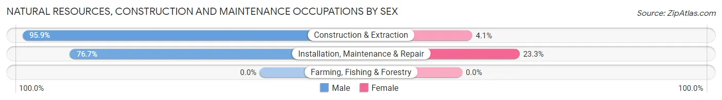 Natural Resources, Construction and Maintenance Occupations by Sex in Wrens