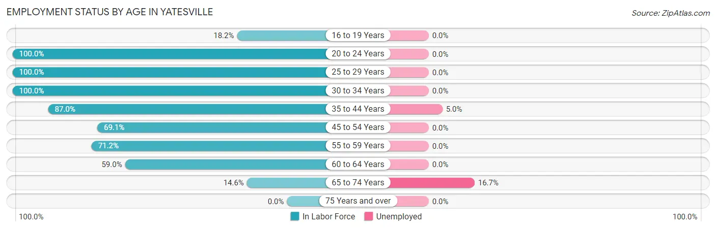 Employment Status by Age in Yatesville