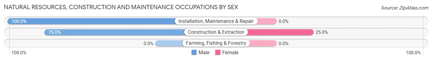 Natural Resources, Construction and Maintenance Occupations by Sex in Yatesville