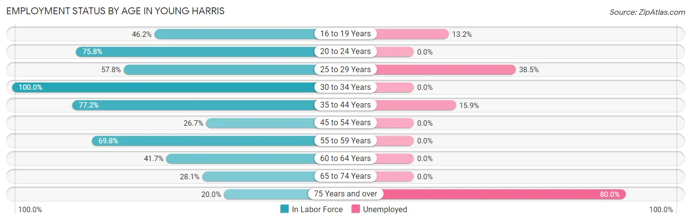 Employment Status by Age in Young Harris