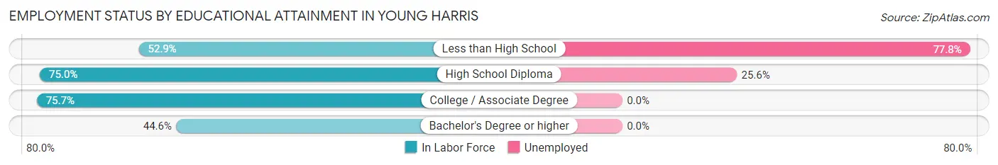 Employment Status by Educational Attainment in Young Harris