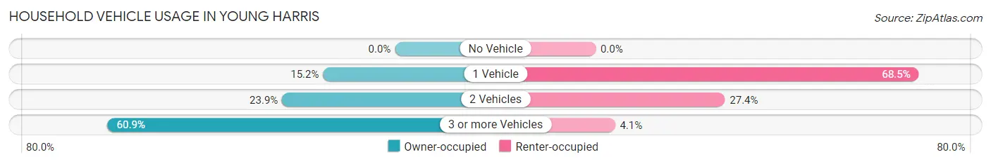 Household Vehicle Usage in Young Harris