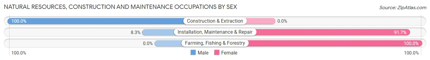 Natural Resources, Construction and Maintenance Occupations by Sex in Young Harris