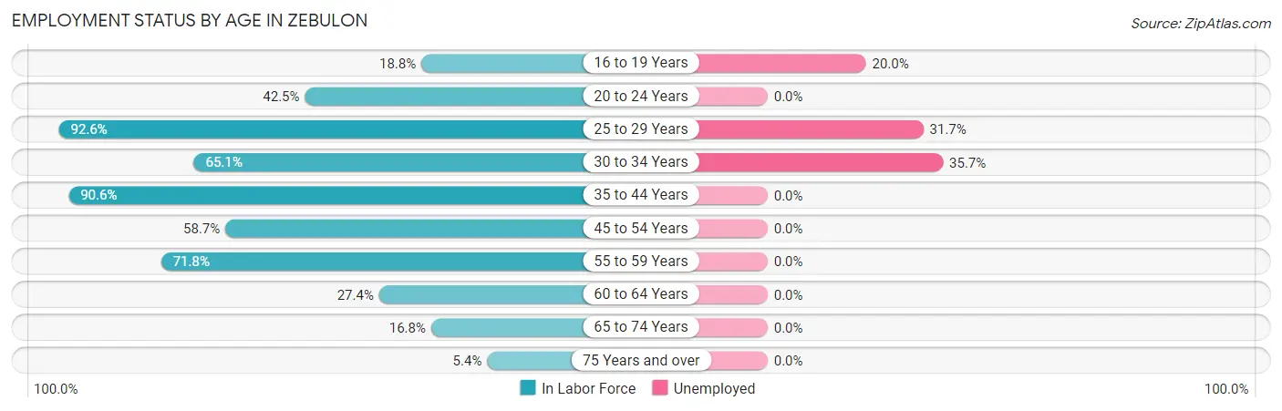 Employment Status by Age in Zebulon