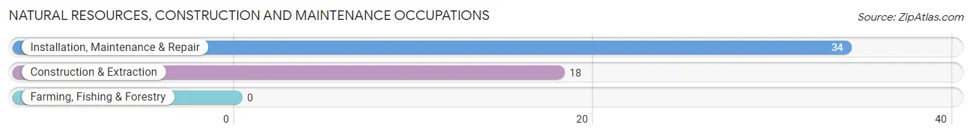 Natural Resources, Construction and Maintenance Occupations in Zebulon