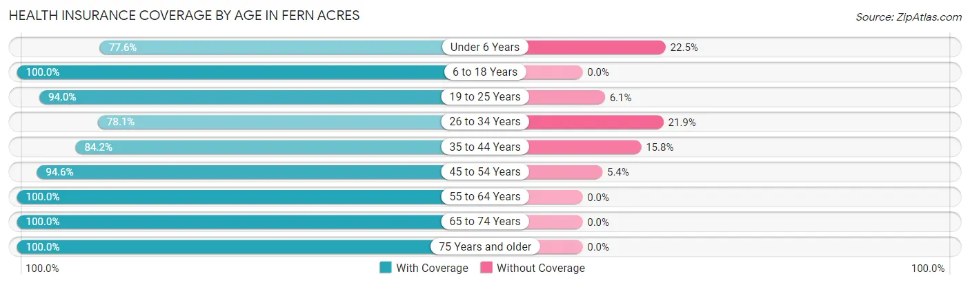 Health Insurance Coverage by Age in Fern Acres