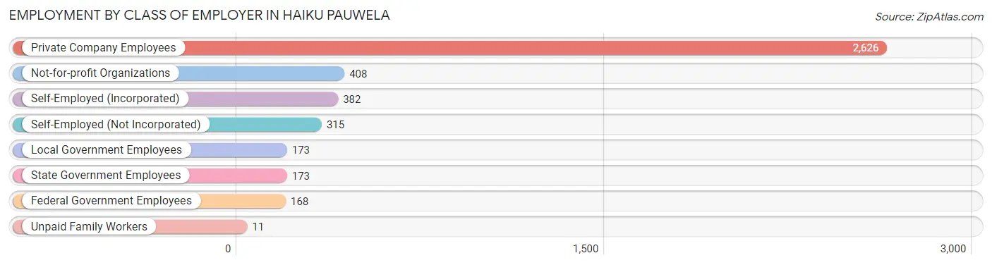 Employment by Class of Employer in Haiku Pauwela