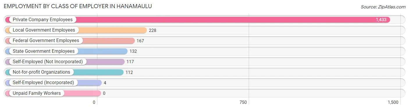 Employment by Class of Employer in Hanamaulu