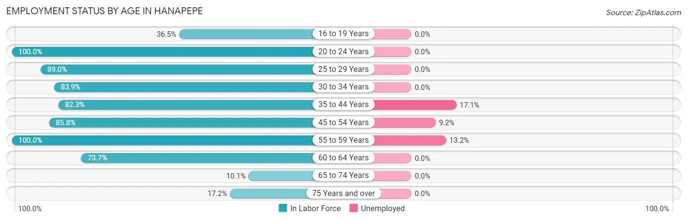 Employment Status by Age in Hanapepe