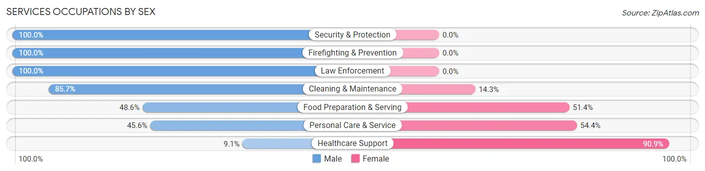 Services Occupations by Sex in Hanapepe