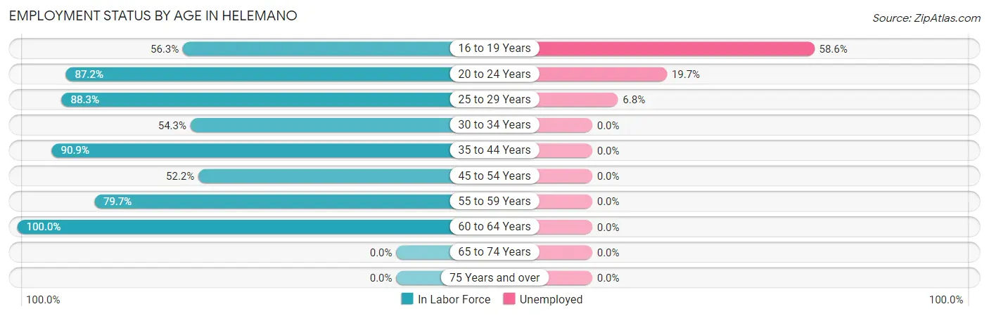Employment Status by Age in Helemano