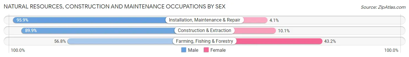 Natural Resources, Construction and Maintenance Occupations by Sex in Hilo