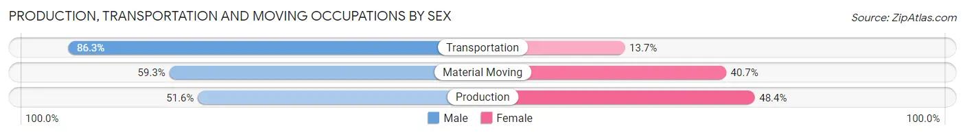 Production, Transportation and Moving Occupations by Sex in Hilo