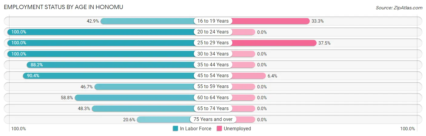 Employment Status by Age in Honomu