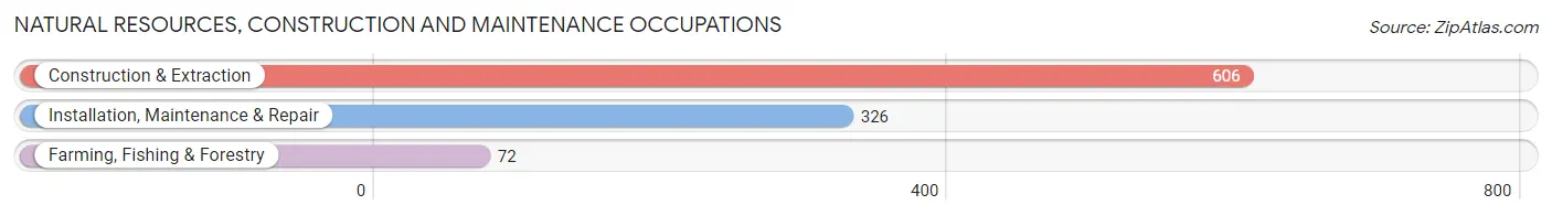 Natural Resources, Construction and Maintenance Occupations in Kahului